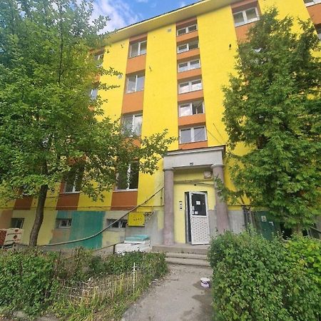 Mural Art Apartament Petrosani Bagian luar foto